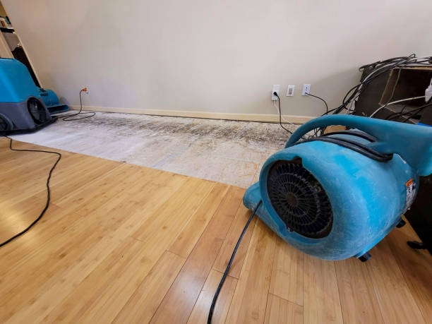 Professional Basement Flood Cleanup technician working in Young, AZ